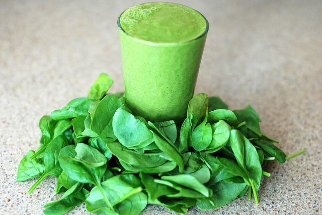 5 Best Masticating Juicers For Juicing Leafy Greens and Wheatgrass 1